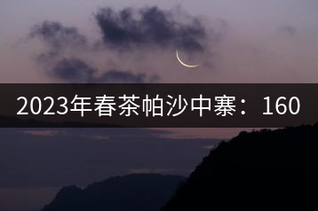 2023年春茶帕沙中寨：1600-9000元／公斤