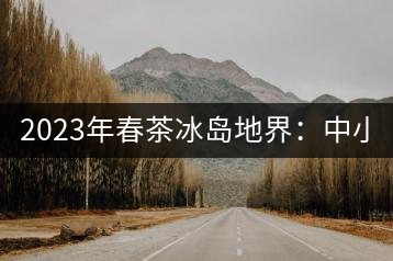 2023年春茶冰島地界：中小樹(shù)1300-1500元／公斤，古樹(shù)2200~2500元／公斤