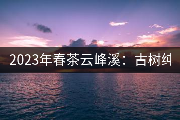 2023年春茶云峰溪：古樹純料：1200-1500元／公斤，古樹混采800-1000元／公斤，大樹500-800元／公斤，小樹300-500元／公斤