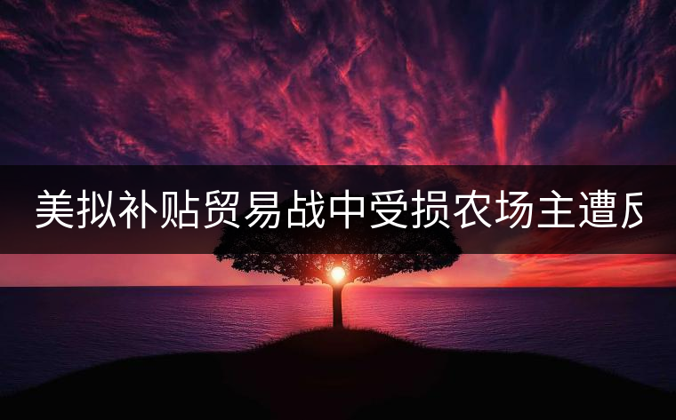 美擬補(bǔ)貼貿(mào)易戰(zhàn)中受損農(nóng)場主遭反對: 只要市場
