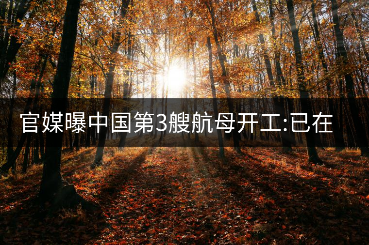 官媒曝中國第3艘航母開工:已在船臺建造 官媒曝中國第3艘航母開工:已在船臺建造