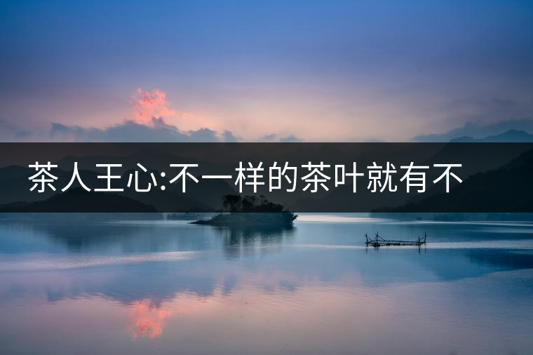 茶人王心:不一樣的茶葉就有不一樣的愛(ài)情茶人王心：不一樣的茶葉就有不一樣的愛(ài)情