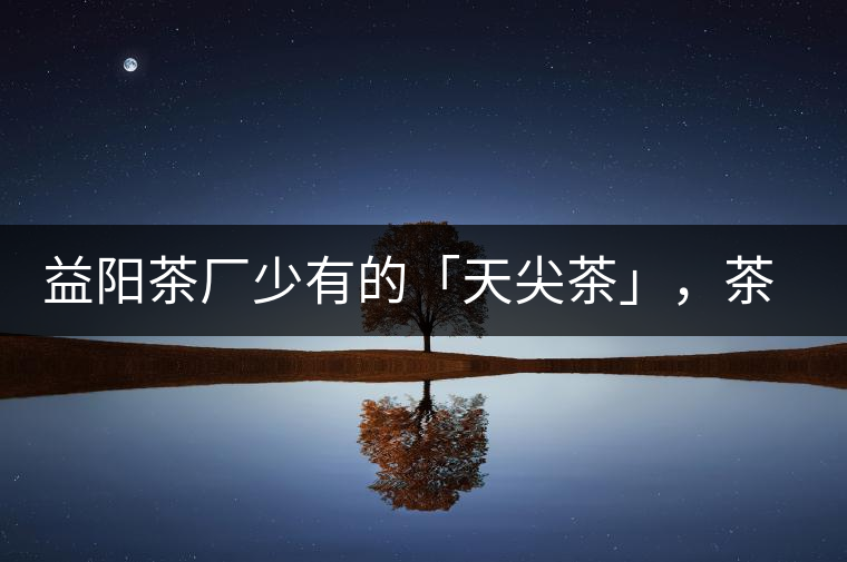 益陽茶廠少有的「天尖茶」，茶品升級(jí)，收藏趁早！