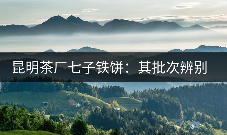 昆明茶廠七子鐵餅：其批次辨別、配方、年份大盤點！