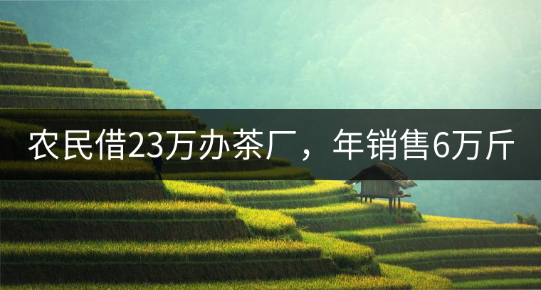 農(nóng)民借23萬辦茶廠，年銷售6萬斤，每天休息僅20分鐘!農(nóng)民借23萬辦茶廠，年銷售6萬斤，每天休息僅20分鐘！