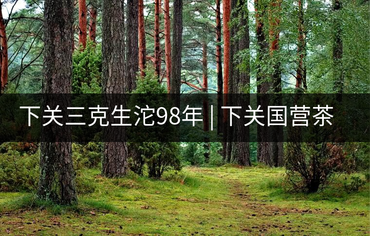 下關(guān)三克生沱98年 | 下關(guān)國(guó)營(yíng)茶廠(chǎng)出口料，干倉(cāng)儲(chǔ)存，...下關(guān)三克生沱98年 | 下關(guān)國(guó)營(yíng)茶廠(chǎng)出口料，干倉(cāng)儲(chǔ)存，19年老茶！