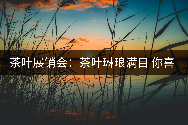 茶葉展銷會：茶葉琳瑯滿目 你喜歡哪種？