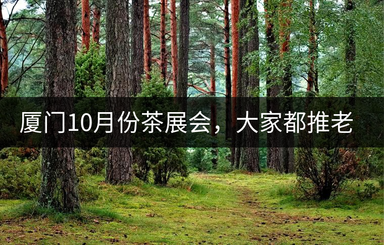 廈門(mén)10月份茶展會(huì)，大家都推老茶跟各種高端手工茶器