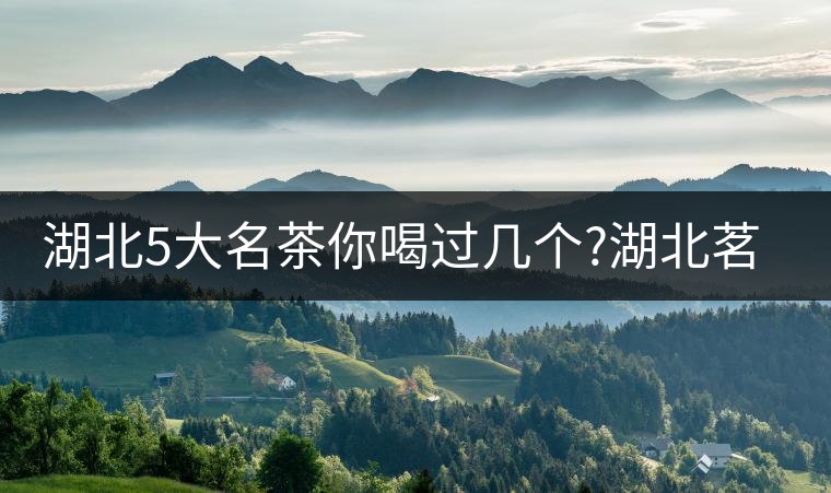 湖北5大名茶你喝過幾個?湖北茗茶的歷史故事?湖北茶哪...湖北5大名茶你喝過幾個？湖北茗茶的歷史故事？湖北茶哪個產(chǎn)地好