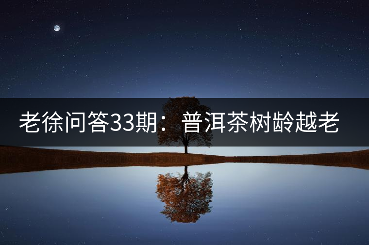 老徐問答33期：普洱茶樹齡越老越貴，那100年樹齡的老班章呢？