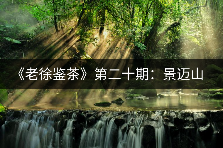 《老徐鑒茶》第二十期:景邁山3款古樹茶普洱茶品鑒合集(視頻) 《老徐鑒茶》第二十期:景邁山3款古樹茶普洱茶品鑒合集(視頻)
