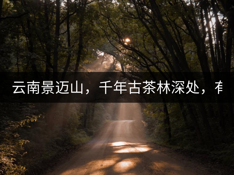 云南景邁山，千年古茶林深處，有一座世外桃源般的糯...云南景邁山，千年古茶林深處，有一座世外桃源般的糯干古寨