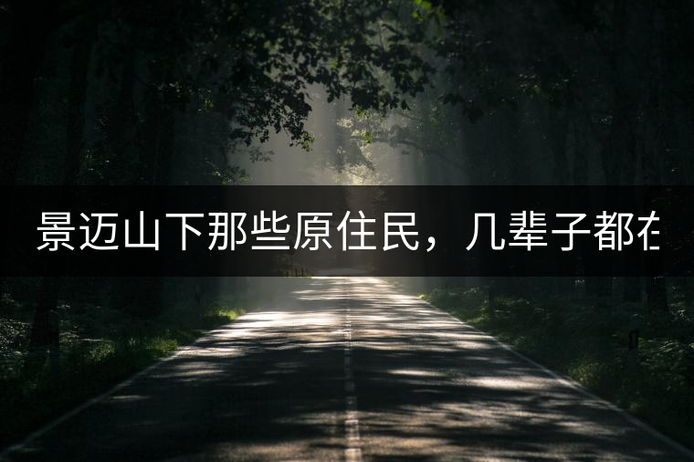 景邁山下那些原住民，幾輩子都在采茶、制茶，才有最...景邁山下那些原住民，幾輩子都在采茶、制茶，才有最好喝的普洱