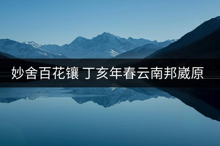 妙舍百花鑲 丁亥年春云南邦崴原生態(tài)古法曬青甘木古茶