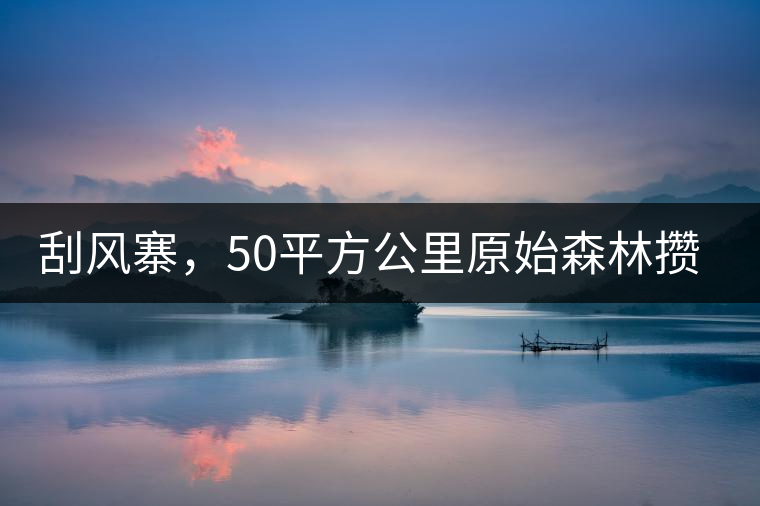 刮風寨，50平方公里原始森林攢集的氣韻！