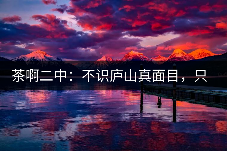 茶啊二中：不識廬山真面目，只識彎弓射大雕，賈淳真搞笑