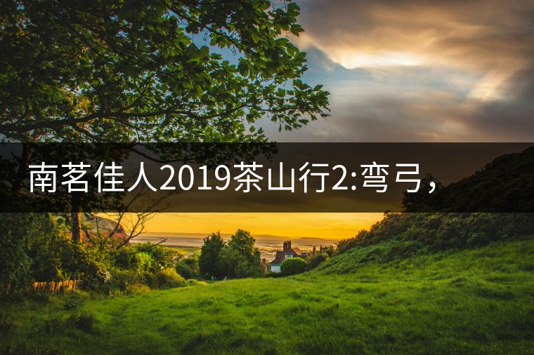 南茗佳人2019茶山行2:彎弓，一路艱辛，只為這有生命...南茗佳人2019茶山行2：彎弓，一路艱辛，只為這有生命厚度的茶！