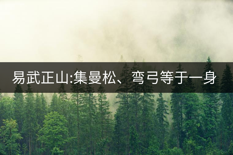 易武正山:集曼松、彎弓等于一身的貴族老黃片，好喝沒得...易武正山：集曼松、彎弓等于一身的貴族老黃片，好喝沒得說