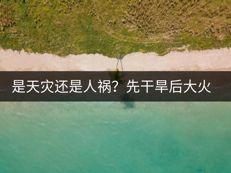 是天災(zāi)還是人禍？先干旱后大火，普洱茶將何去何從？