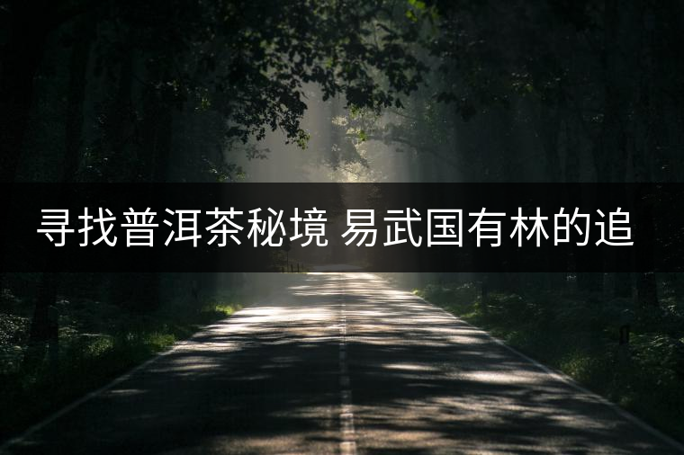 尋找普洱茶秘境 易武國有林的追逐戰(zhàn)尋找普洱茶秘境 易武國有林的追逐戰(zhàn)