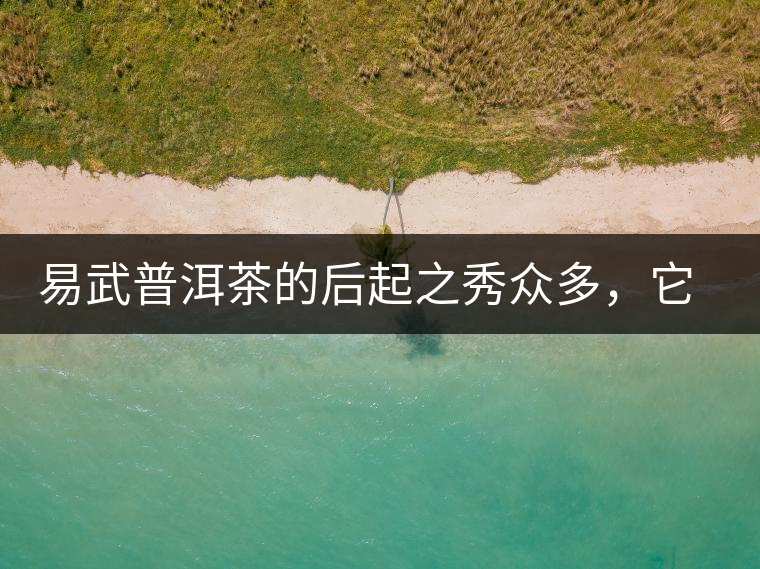 易武普洱茶的后起之秀眾多，它是還沒漲價的一個！