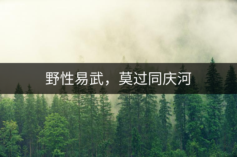 野性易武，莫過同慶河