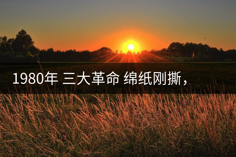1980年 三大革命 綿紙剛撕，品相極好，整體干凈漂亮1980年 三大革命 綿紙剛撕，品相極好，整體干凈漂亮