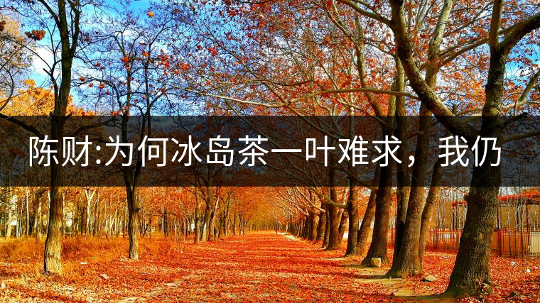 陳財:為何冰島茶一葉難求，我仍然堅持
