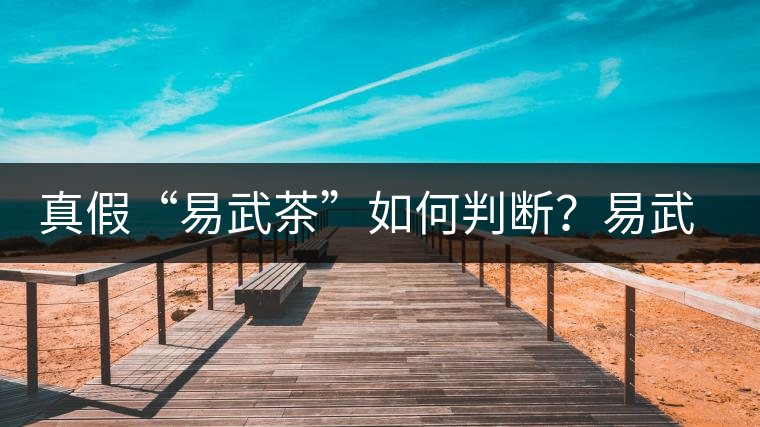 真假“易武茶”如何判斷？易武普洱茶有哪些特點？