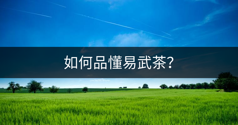如何品懂易武茶？