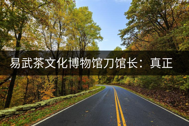 易武茶文化博物館刀館長(zhǎng):真正的茶馬古道是做什么的? 易武茶文化博物館刀館長(zhǎng):真正的茶馬古道是做什么的?
