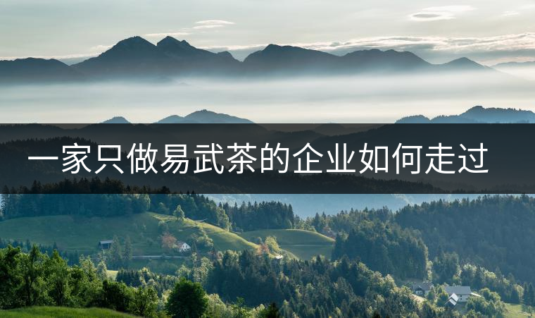 一家只做易武茶的企業(yè)如何走過了十年？