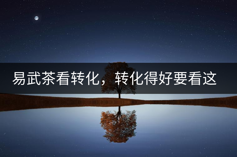 易武茶看轉(zhuǎn)化，轉(zhuǎn)化得好要看這三要素及品牌優(yōu)勢！