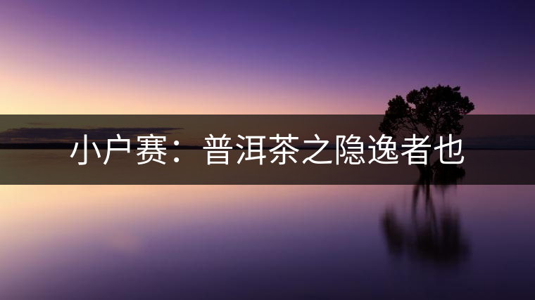 小戶賽：普洱茶之隱逸者也