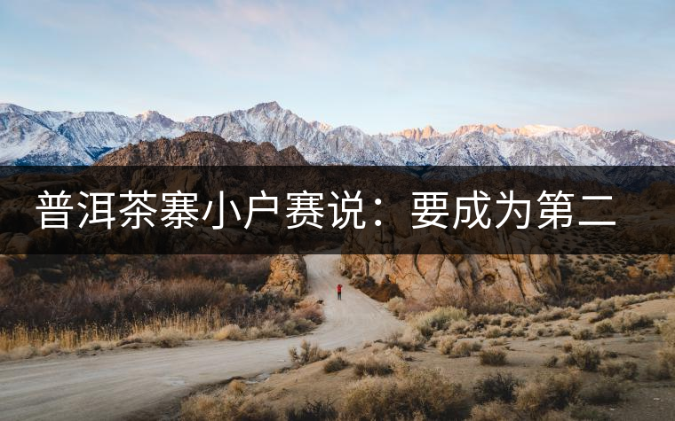 普洱茶寨小戶賽說：要成為第二個冰島，勐庫普洱茶圈都爆了！