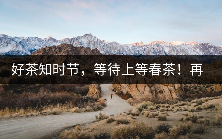 好茶知時節(jié)，等待上等春茶！再來回味這些年喝過的小戶賽古樹春茶