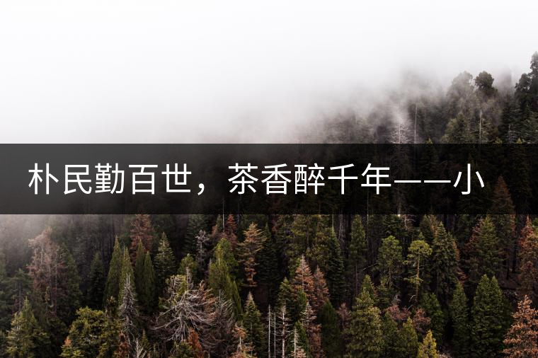 樸民勤百世，茶香醉千年——小戶賽古寨