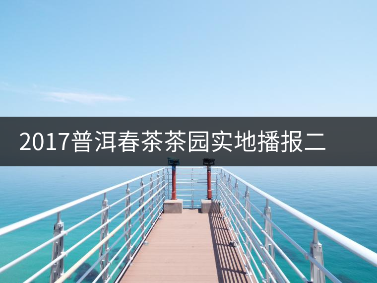 2017普洱春茶茶園實地播報二——臨倉勐庫鎮(zhèn)小戶賽