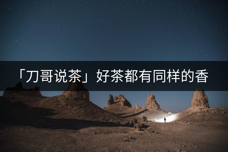 「刀哥說茶」好茶都有同樣的香，破茶卻有不同的味