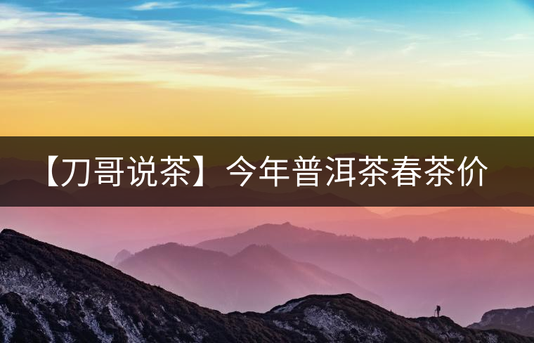 【刀哥說(shuō)茶】今年普洱茶春茶價(jià)格，我不預(yù)測(cè)