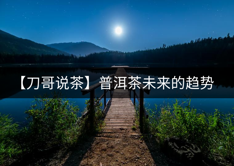 【刀哥說茶】普洱茶未來的趨勢，我看好熟茶