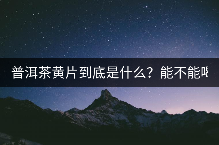 普洱茶黃片到底是什么？能不能喝？