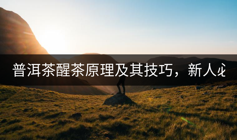 普洱茶醒茶原理及其技巧，新人必備！