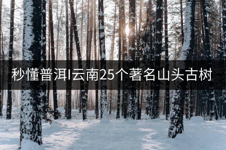 秒懂普洱I云南25個(gè)著名山頭古樹普洱茶的特點(diǎn)及口感!(太全了,快收藏!)