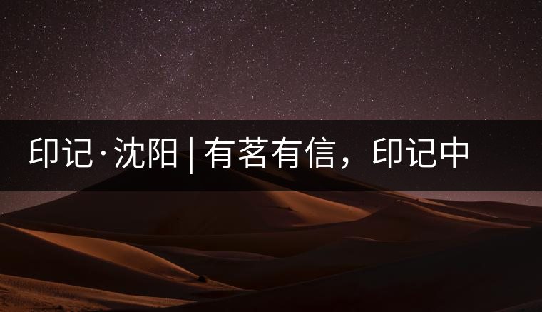 印記·沈陽 | 有茗有信，印記中茶，中茶普洱亮相沈陽茶博會(huì)