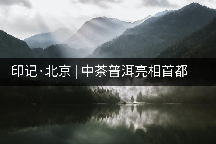 印記·北京 | 中茶普洱亮相首都,“大紅印”斬獲“特別金獎” 印記·北京 | 中茶普洱亮相首都,“大紅印”斬獲“特別金獎”