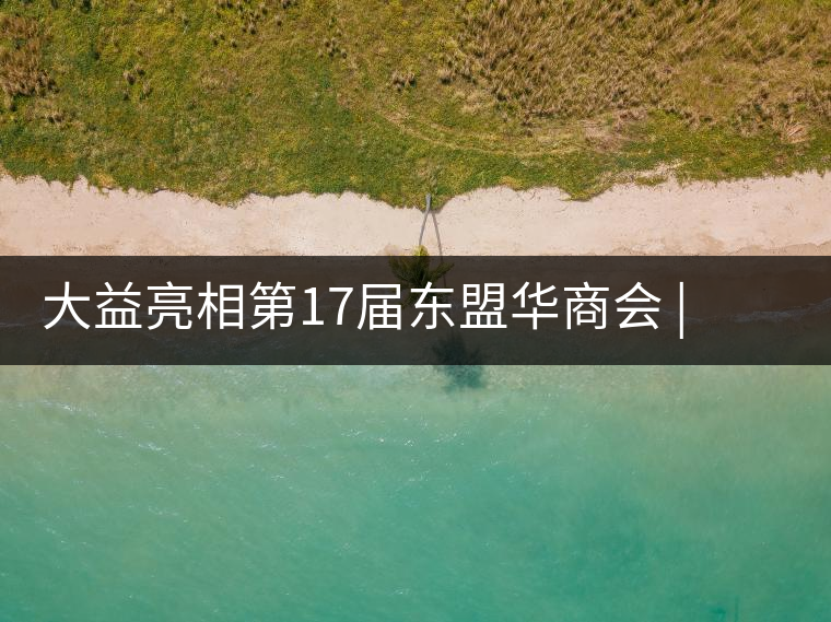 大益亮相第17屆東盟華商會(huì) | 海內(nèi)外嘉賓共謀發(fā)展，共品大益茶