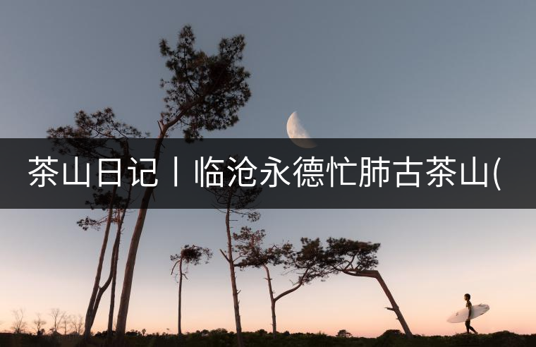 茶山日記丨臨滄永德忙肺古茶山(1)茶山日記丨臨滄永德忙肺古茶山(1) 茶山日記丨臨滄永德忙肺古茶山(1)茶山日記丨臨滄永德忙肺古茶山(1)