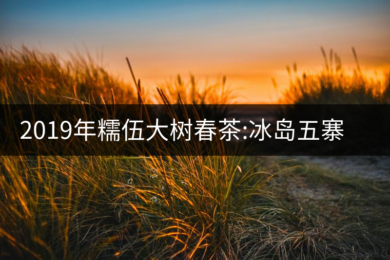 2019年糯伍大樹春茶:冰島五寨甜柔口感的代表，售價不...2019年糯伍大樹春茶：冰島五寨甜柔口感的代表，售價不到500