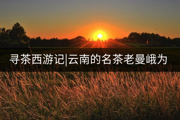 尋茶西游記|云南的名茶老曼峨為什么這么多人愛(ài)，這里...尋茶西游記｜云南的名茶老曼峨為什么這么多人愛(ài)，這里給你答案！
